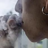 El consum de tabac cau a mínims històrics a Catalunya però guanyen pes els vàpers El consum de tabac cau a mínims històrics a Catalunya però guanyen pes els vàpers