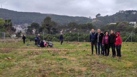 Reforestaci&oacute;n en La Barraca d'Aig&uuml;es Vives