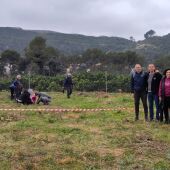 Reforestación en La Barraca d'Aigües Vives