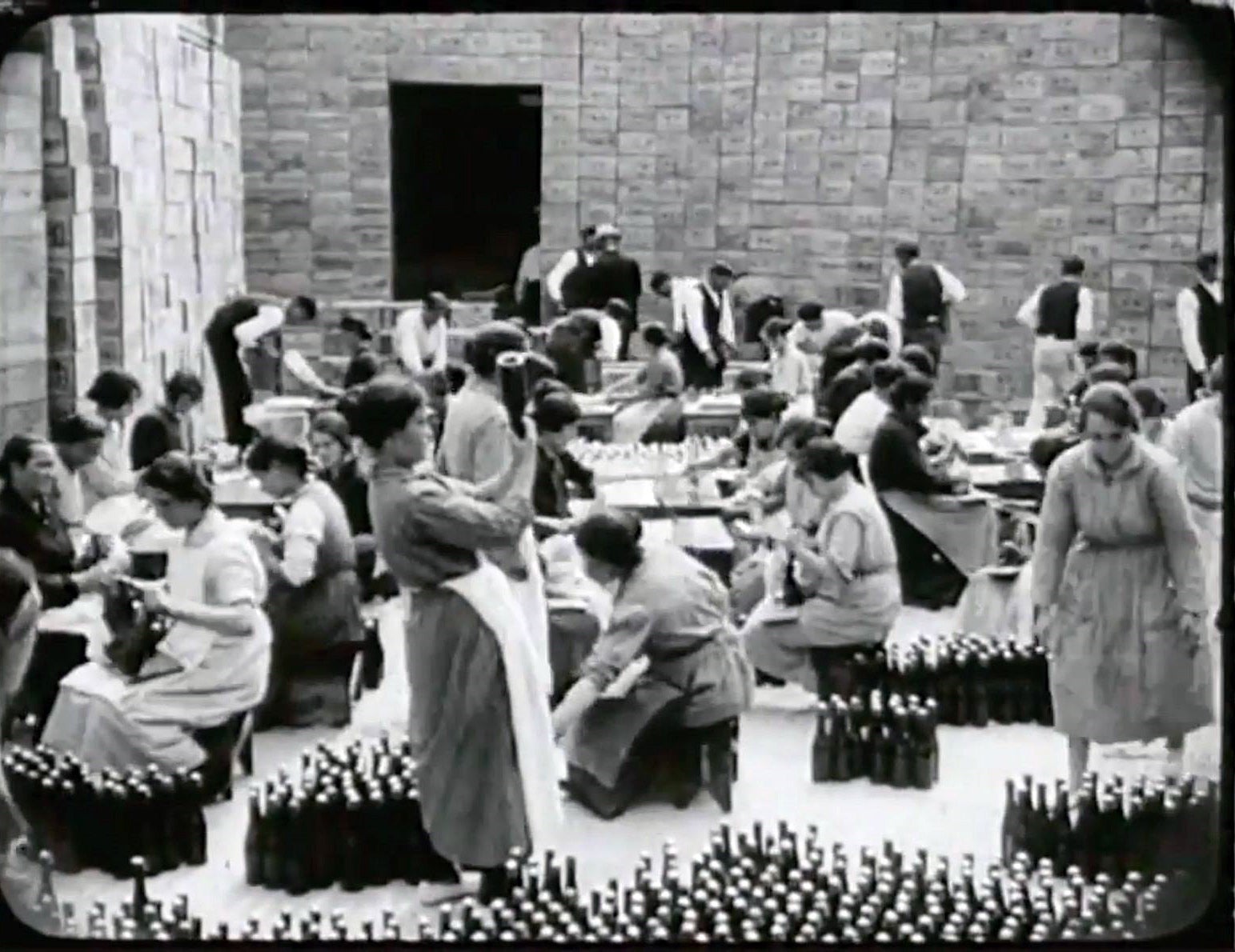 Un documental sobre la elaboración de la bebida tradicional protagoniza el Día Mundial de la Sidra Un documental sobre la elaboración de la bebida tradicional protagoniza el Día Mundial de la Sidra