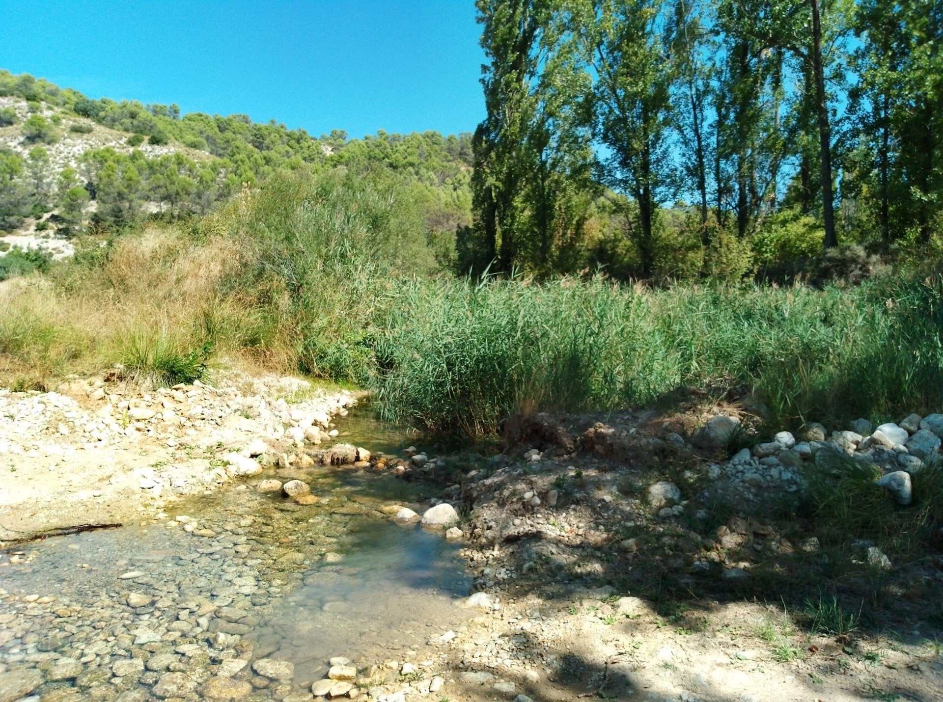 Inician un estudio para la eliminación de barreras en el río Ompólveda a su paso por Pareja Inician un estudio para la eliminación de barreras en el río Ompólveda a su paso por Pareja