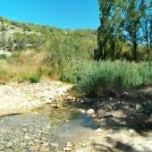 Inician un estudio para la eliminación de barreras en el río Ompólveda