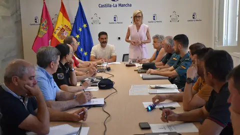 Reunión con la delegada del gobierno Reunión con la delegada del gobierno