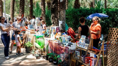 Eco Festival Vega Baja Limpia
