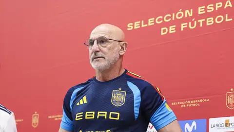 Luis de la Fuente, entrenador de la Selección de España Luis de la Fuente, entrenador de la Selección de España