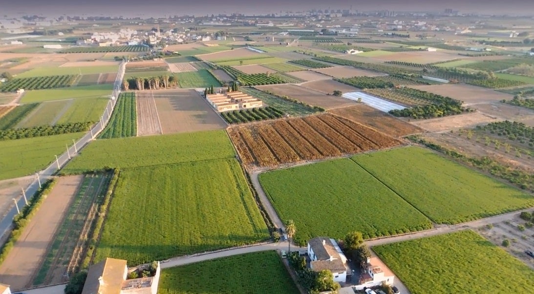 El Comité de Agricultura Ecológica de la Comunitat Valenciana defiende el consumo ecológico como motor de sostenibilidad El Comité de Agricultura Ecológica de la Comunitat Valenciana defiende el consumo ecológico como motor de sostenibilidad