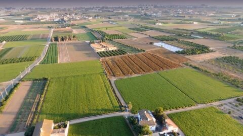 Agricultura Ecol&oacute;gica 