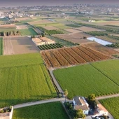 Agricultura Ecológica Agricultura Ecológica