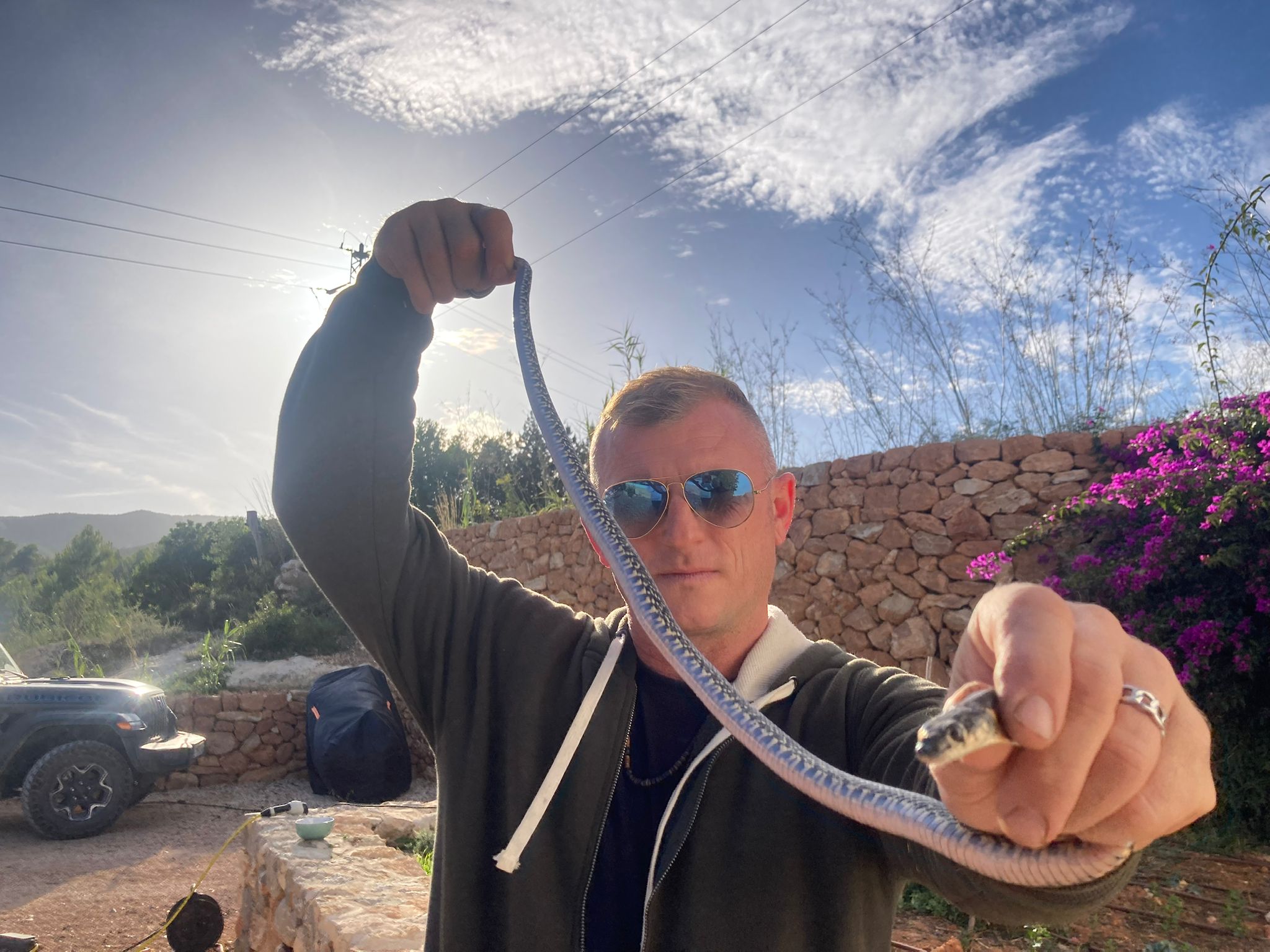 Dean Gallagher: "Las serpientes invasoras ya ocupan cerca del 90 % de Ibiza llegando a lugares donde nunca habían estado" Dean Gallagher: "Las serpientes invasoras ya ocupan cerca del 90 % de Ibiza llegando a lugares donde nunca habían estado"