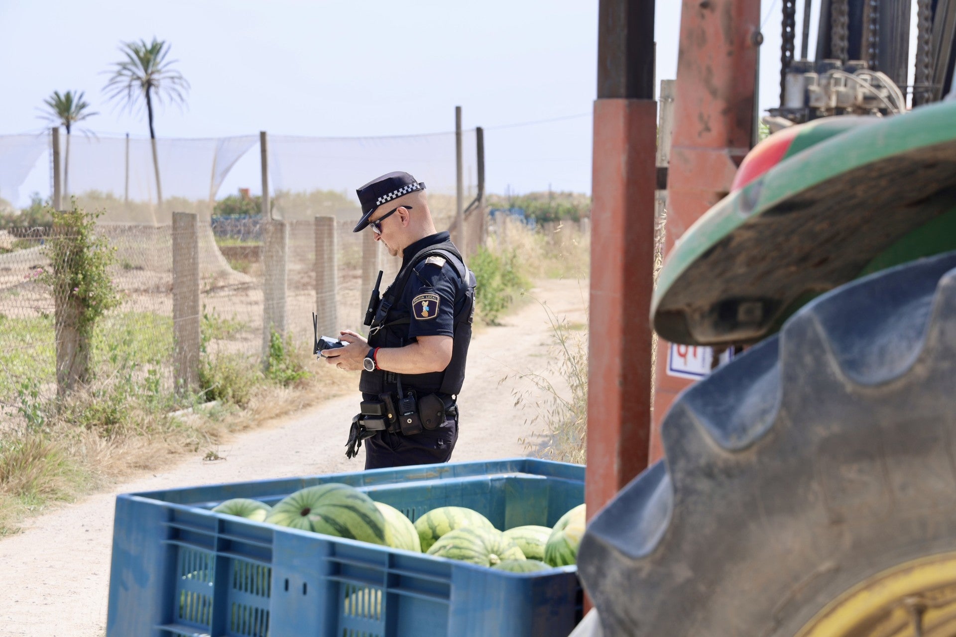 Cullera intensifica la vigilancia para evitar el robo de sandías Cullera intensifica la vigilancia para evitar el robo de sandías