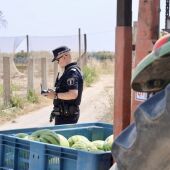 Agente inspecciona cargamento de sandías