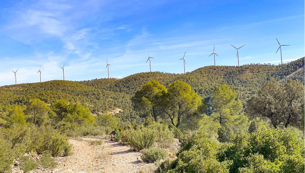 Más de Uno Valencia en directo desde Ayora con motivo del Día Mundial del Viento para analizar el papel clave de la energía eólica en el futuro del territorio Más de Uno Valencia en directo desde Ayora con motivo del Día Mundial del Viento para analizar el papel clave de la energía eólica en el futuro del territorio