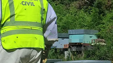 A Garda Civil localiza ao presunto autor do roubo de 34 colmeas en Verea A Garda Civil localiza ao presunto autor do roubo de 34 colmeas en Verea