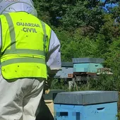 A Garda Civil localiza ao presunto autor do roubo de 34 colmeas en Verea A Garda Civil localiza ao presunto autor do roubo de 34 colmeas en Verea