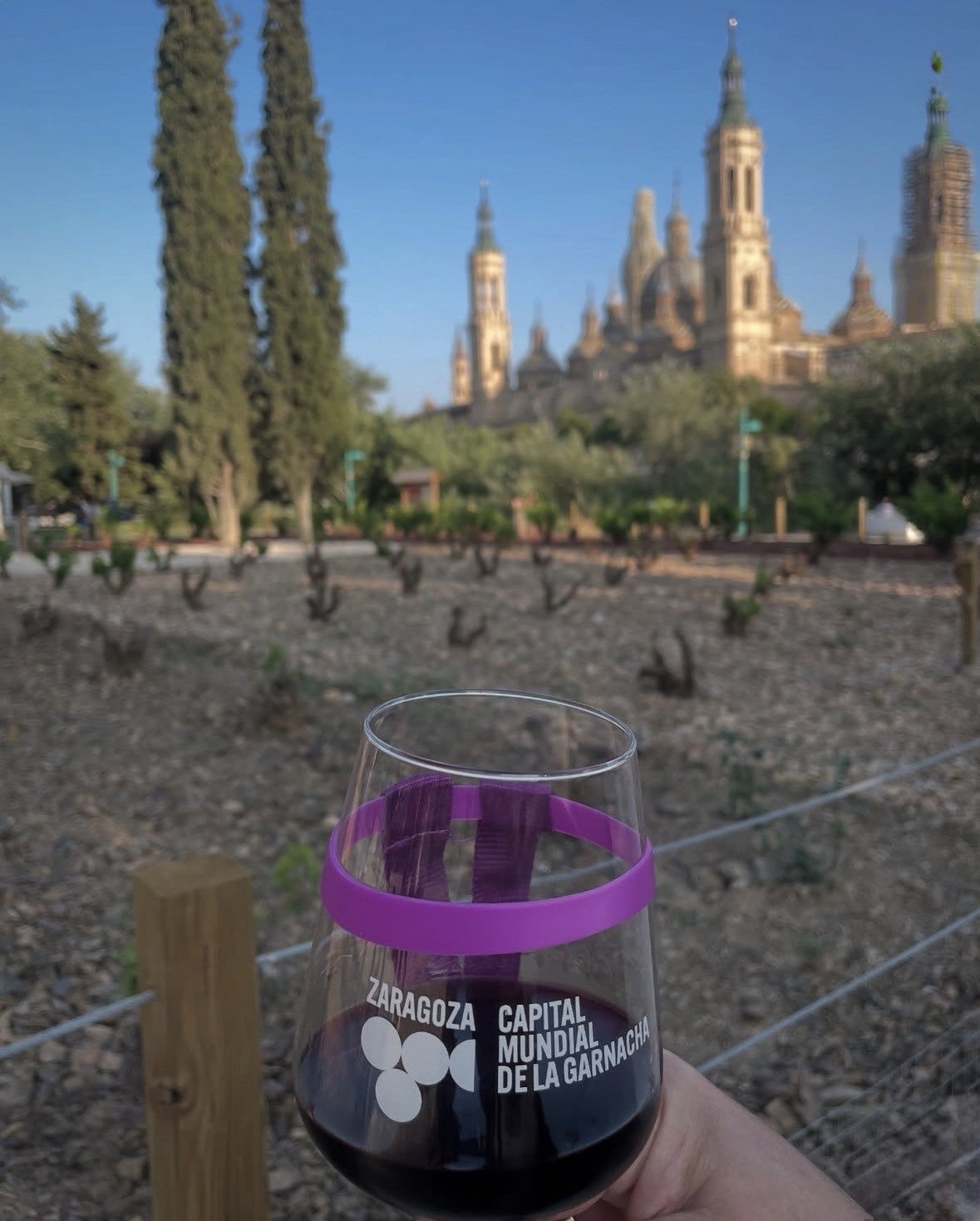 Zaragoza, capital mundial de la Garnacha: vino, música y gastronomía Zaragoza, capital mundial de la Garnacha: vino, música y gastronomía