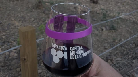 Feria Internacional de la Garnacha y la gastronomía Sostenible