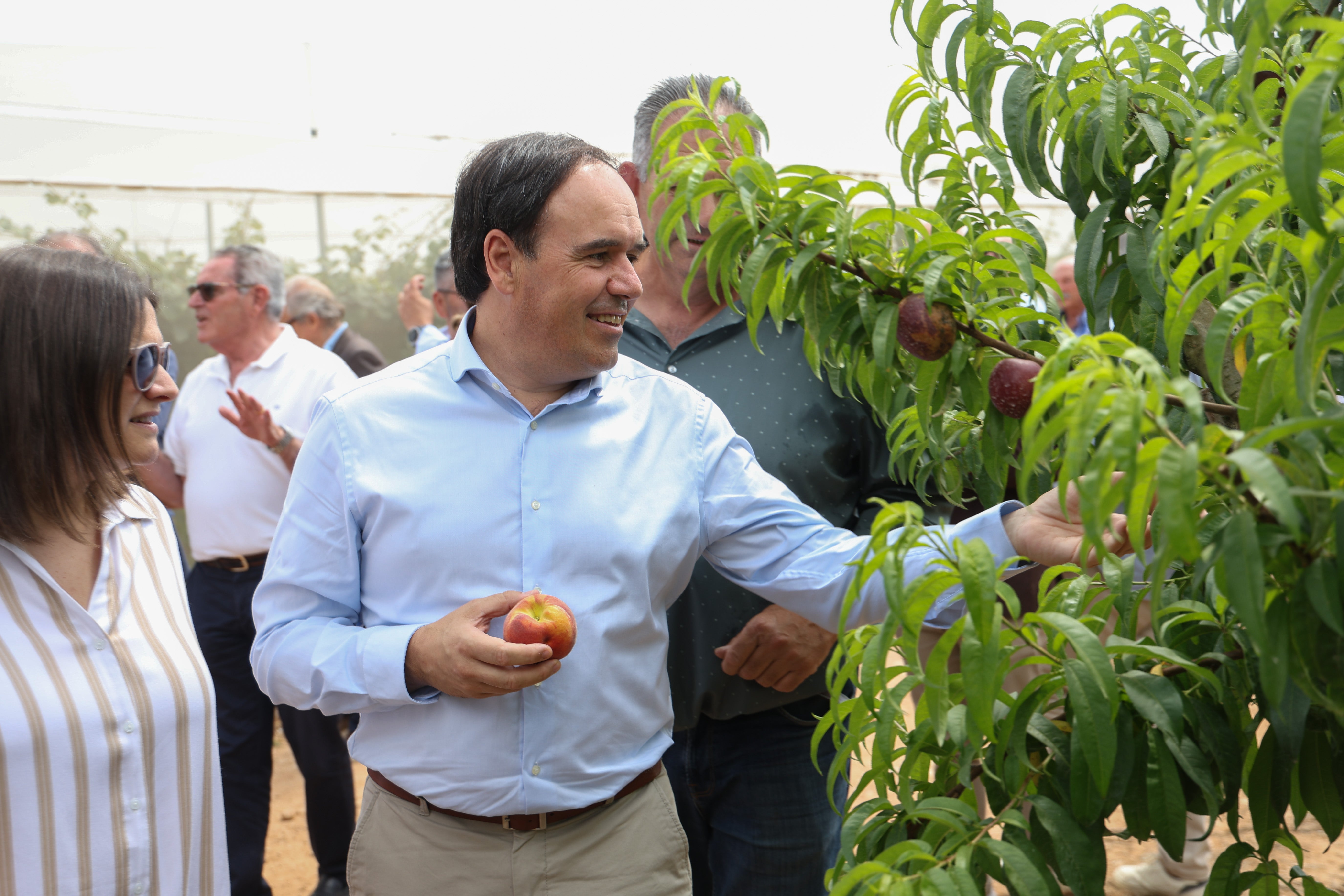 Pérez Llorca anuncia la mayor convocatoria de ayudas para la modernización de explotaciones agrarias de la Comunitat Valenciana con 50 millones de euros Pérez Llorca anuncia la mayor convocatoria de ayudas para la modernización de explotaciones agrarias de la Comunitat Valenciana con 50 millones de euros
