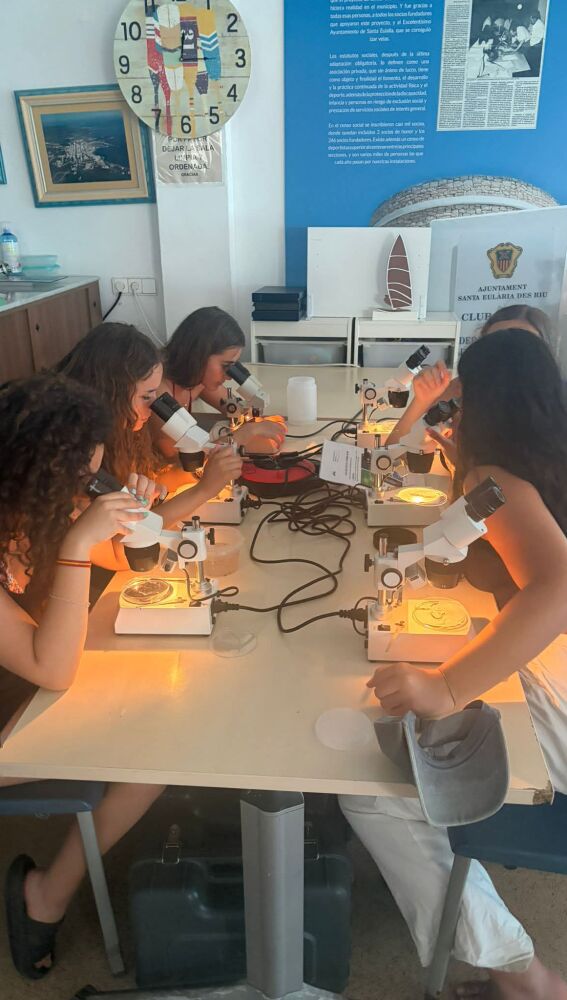 Los estudiantes analizaron lo encontrado en el mar con los microscopios