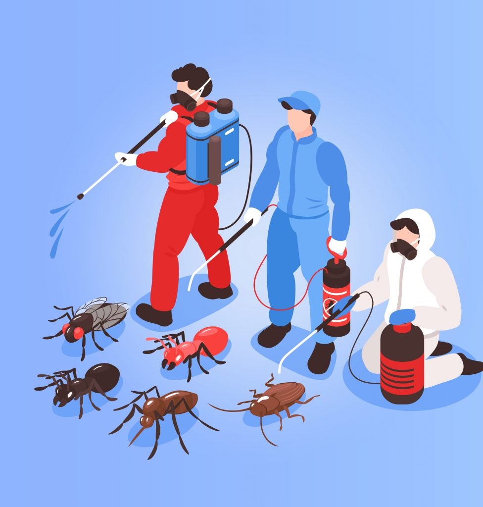Este 6 de junio se celebra el Día Mundial del Control de Plagas Este 6 de junio se celebra el Día Mundial del Control de Plagas