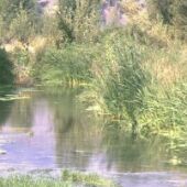 Río Monnegre 