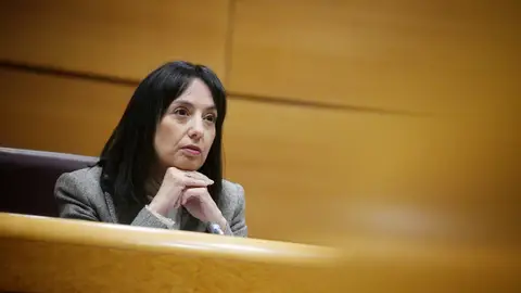 La directora general de la Guardia Civil, Mercedes González Fernández La directora general de la Guardia Civil, Mercedes González Fernández