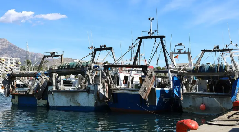 La pesca de Villajoyosa y Altea contará con un importante respaldo económico gracias a nuevas ayudas procedentes de la Unión Europea y la Generalitat Valenciana La pesca de Villajoyosa y Altea contará con un importante respaldo económico gracias a nuevas ayudas procedentes de la Unión Europea y la Generalitat Valenciana