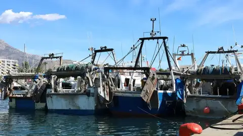La pesca de Villajoyosa y Altea contará con un importante respaldo económico gracias a nuevas ayudas procedentes de la Unión Europea y la Generalitat Valenciana La pesca de Villajoyosa y Altea contará con un importante respaldo económico gracias a nuevas ayudas procedentes de la Unión Europea y la Generalitat Valenciana