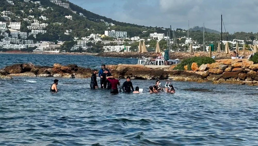 Los estudiantes disfrutaron y aprendieron en el mar Los estudiantes disfrutaron y aprendieron en el mar