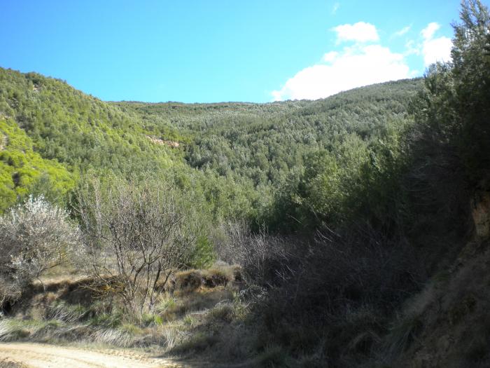 Los APN denuncian falta de personal en Teruel Los APN denuncian falta de personal en Teruel