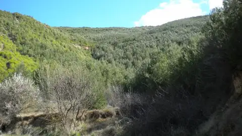 Los APN denuncian falta de personal en Teruel Los APN denuncian falta de personal en Teruel