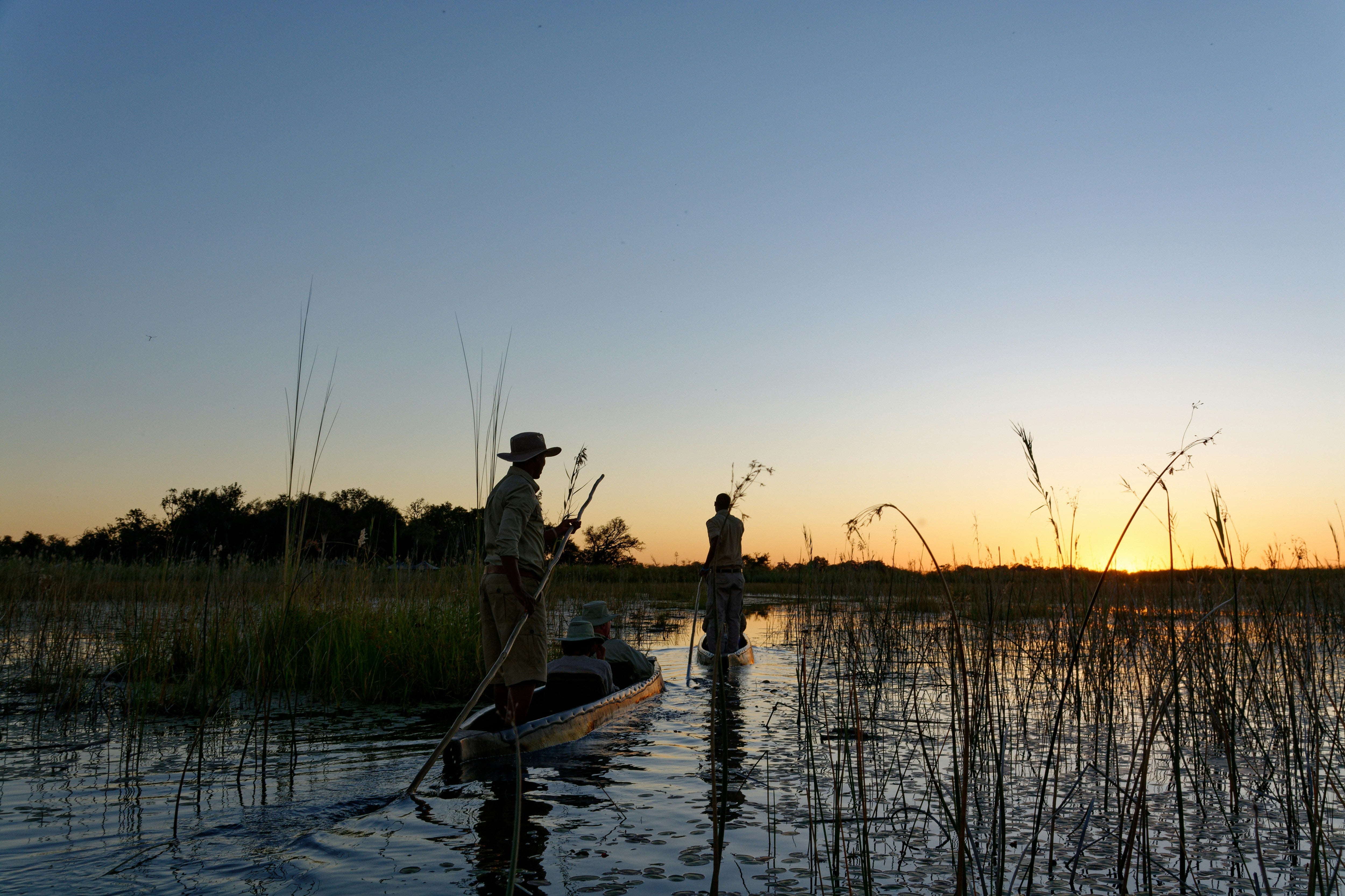 Safaris en mokoro en el Delta del Okavango: la experiencia más silenciosa para ver fauna en Botswana episode artwork