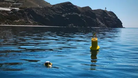 El Puerto de Motril y la UGR instalan una boya oceanográfica pionera para estudiar el cambio climático en el mar de Alborán El Puerto de Motril y la UGR instalan una boya oceanográfica pionera para estudiar el cambio climático en el mar de Alborán