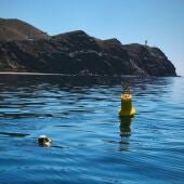 El Puerto de Motril y la UGR instalan una boya oceanográfica pionera para estudiar el cambio climático en el mar de Alborán
