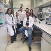 Investigadores de la UVA identifican alteraciones inmunológicas asociadas al desarrollo del Covid persistente