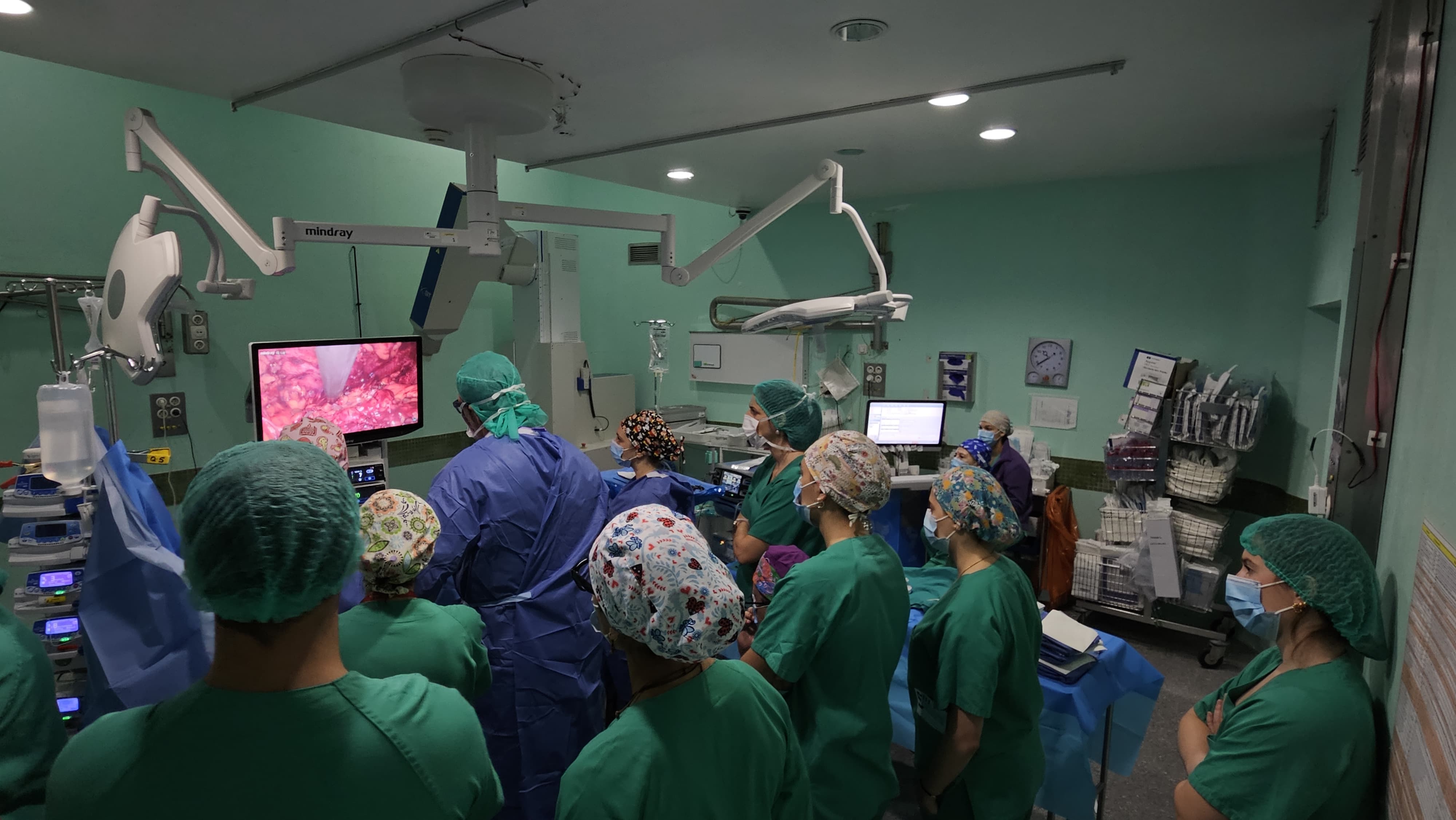 El Hospital General de Elche realiza una técnica pionera en la Comunitat Valenciana para tratar hernias paraestomales complejas El Hospital General de Elche realiza una técnica pionera en la Comunitat Valenciana para tratar hernias paraestomales complejas