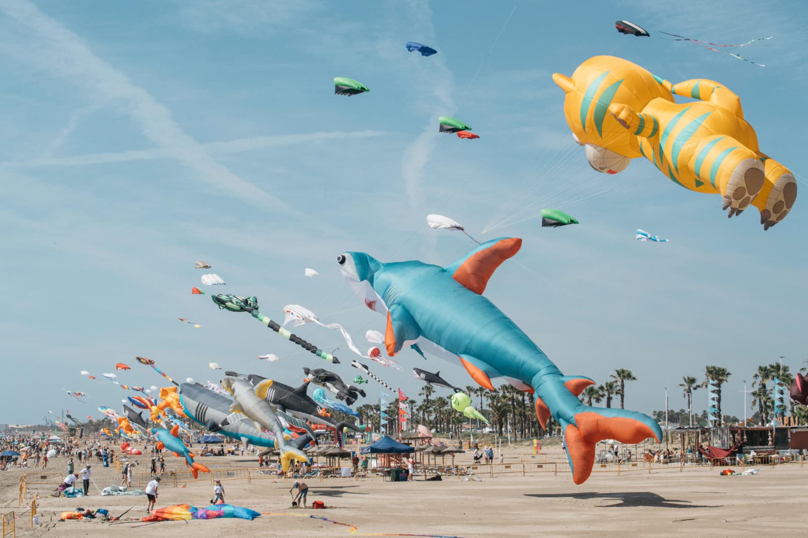 El Festival Internacional del Viento reúne a miles de visitantes y se consolida como una cita de referencia en Castellón El Festival Internacional del Viento reúne a miles de visitantes y se consolida como una cita de referencia en Castellón