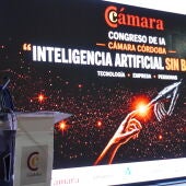 El presidente de la Cámara de Comercio de Córdoba, Antonio Díaz