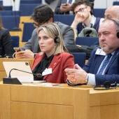 La Diputación de Castellón pide en Bruselas proteger la cerámica ante el recorte de derechos de emisión y el impacto en 70.000 empleos