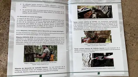 Publicado el nuevo 'Manual para la obtención del carné de sacador de corcho' Publicado el nuevo 'Manual para la obtención del carné de sacador de corcho'