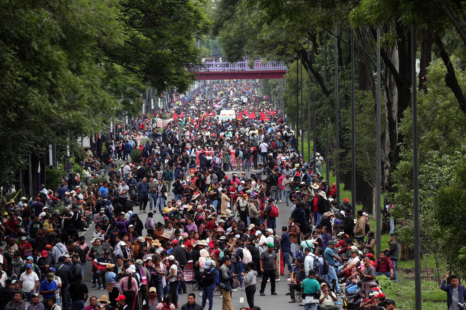 Cientos de docentes se manifiestan en la Ciudad de México Cientos de docentes se manifiestan en la Ciudad de México