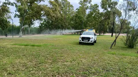La Diputación de Castellón refuerza los tratamientos contra los mosquitos en las marjales del litoral tras las últimas lluvias La Diputación de Castellón refuerza los tratamientos contra los mosquitos en las marjales del litoral tras las últimas lluvias
