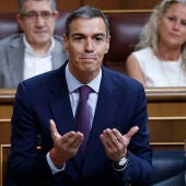 El presidente del Gobierno, Pedro Sánchez, interviene durante la sesión de control al Gobierno, este miércoles en el Congreso. 