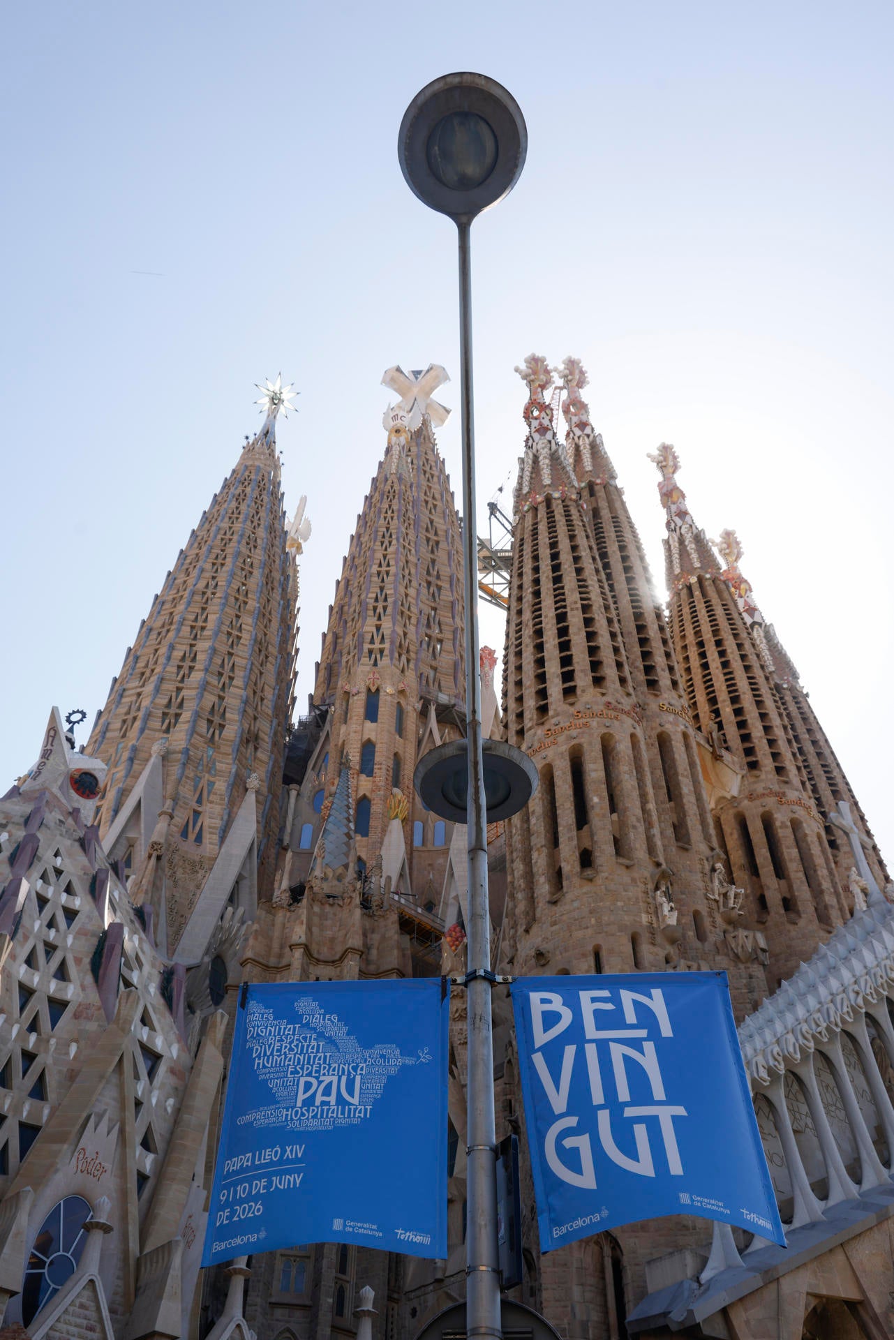 La Fundación Sagrada Familia celebra la visita de León XIV: "No podíamos tener un momento mejor"