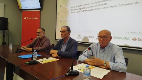 Inauguraci&oacute;n de la jornada de AVA