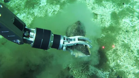 Recuperación de huesos fósiles de ballena mediante el brazo del sumergible chino Fendouzhe