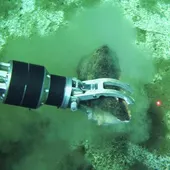 Recuperación de huesos fósiles de ballena mediante el brazo del sumergible chino Fendouzhe Recuperación de huesos fósiles de ballena mediante el brazo del sumergible chino Fendouzhe