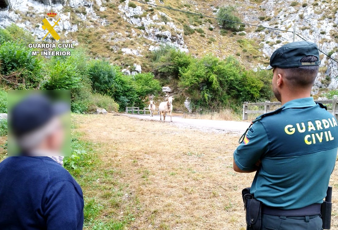 Investigan a una mujer por la estafa de los ahorros de un hombre de 84 años que acabó durmiendo en la calle Investigan a una mujer por la estafa de los ahorros de un hombre de 84 años que acabó durmiendo en la calle