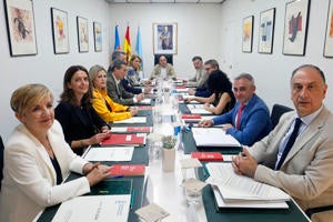 Pleno del Consell este viernes en el Ayuntamiento de Torrevieja Pleno del Consell este viernes en el Ayuntamiento de Torrevieja