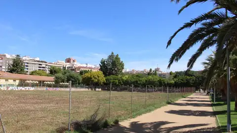 El ayuntamiento de Castellón impulsa la limpieza de más de 115 parcelas municipales y privadas durante 2025 y 2026 El ayuntamiento de Castellón impulsa la limpieza de más de 115 parcelas municipales y privadas durante 2025 y 2026