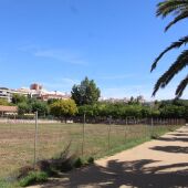 El ayuntamiento de Castellón impulsa la limpieza de más de 115 parcelas municipales y privadas durante 2025 y 2026